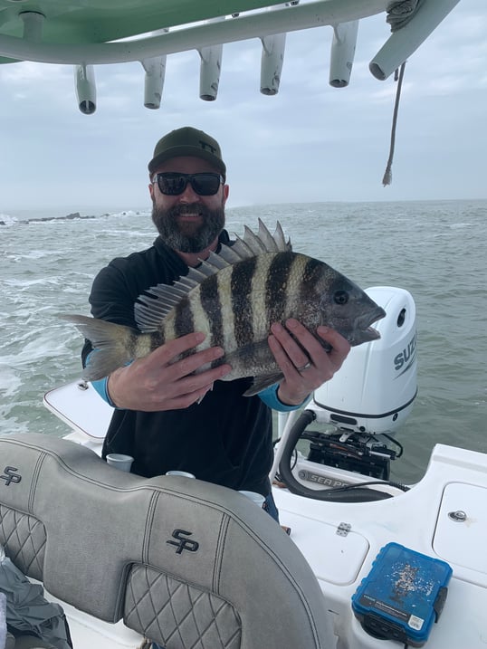Sheepshead Caught Near Rockport, Texas