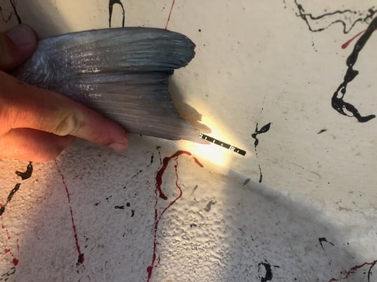 matagorda fishing trip1