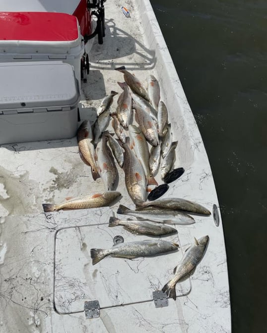 port o connor fishing trip1