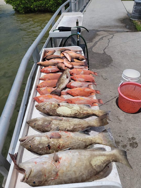 clearwater fishing trip1