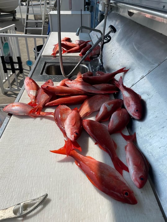 destin fishing trip6