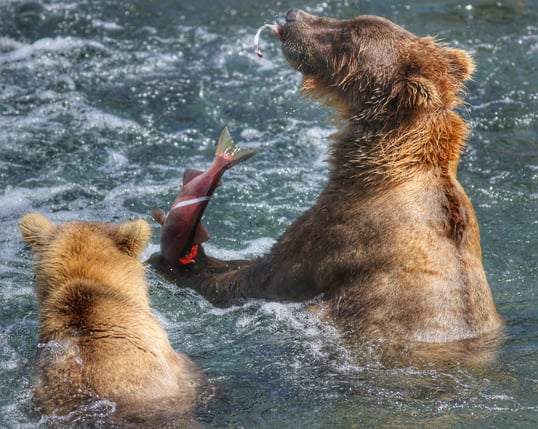 key west fishing trip1