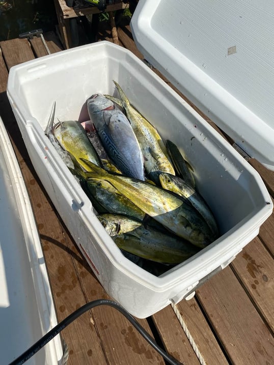 pensacola fishing trip1