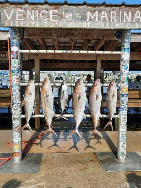 venice fishing trip1