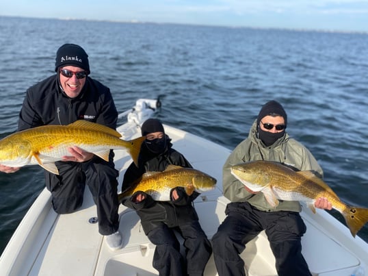 Redfish Caught Near Pensacola, Florida