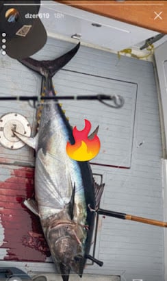 san diego fishing charters