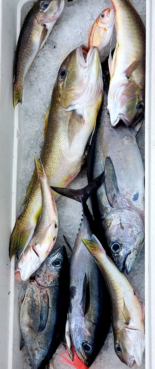 galveston fishing trips17