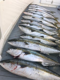 san diego fishing trip