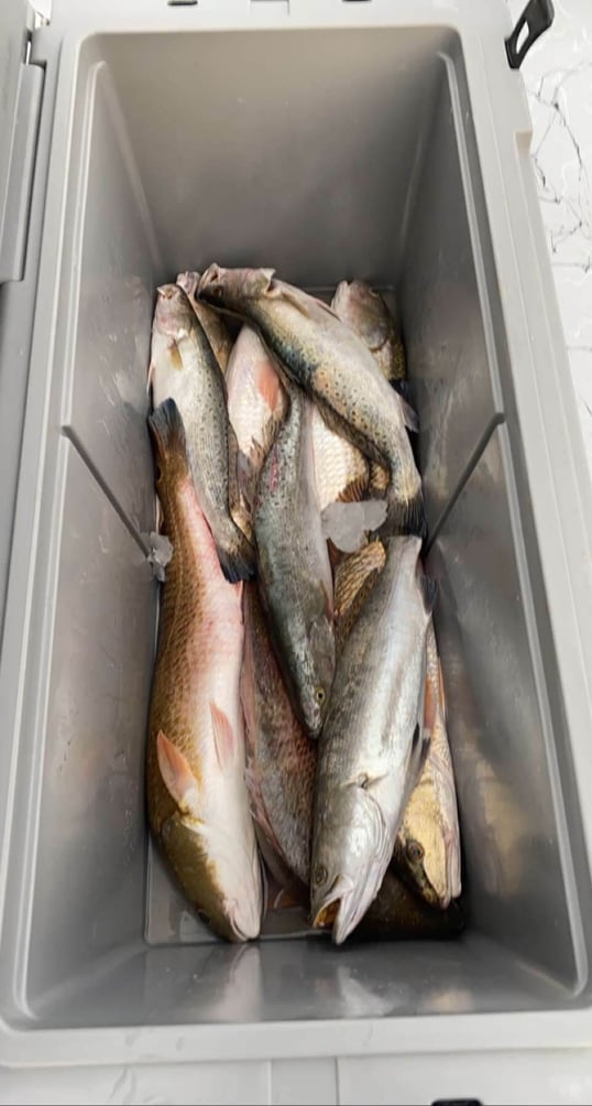 matagorda fishing trips8