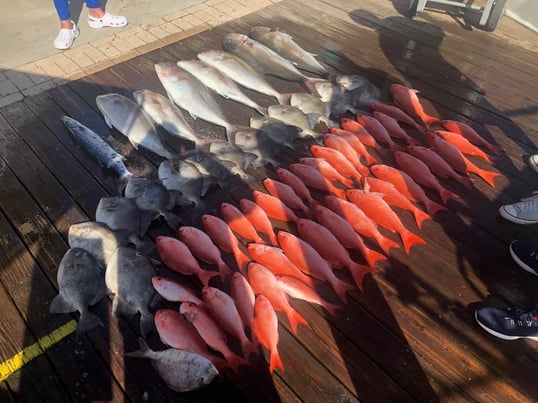 daytona beach fishing trips1
