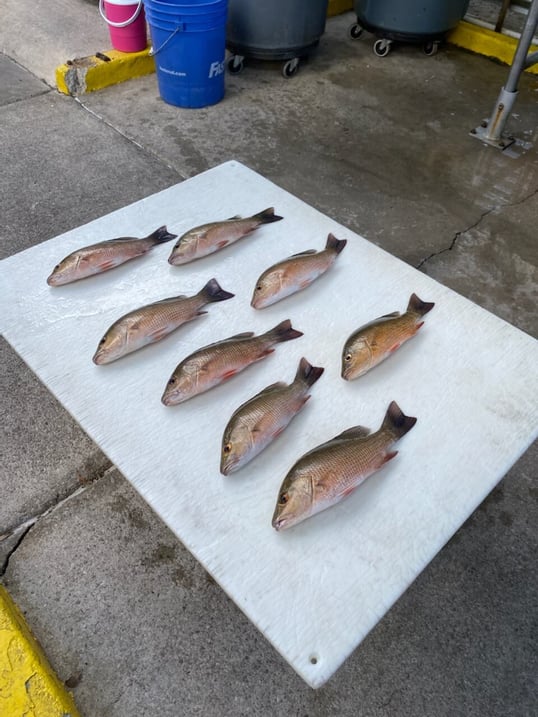 destin fishing trips2