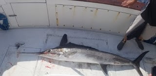 fishing charters near me