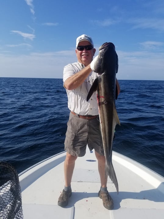 Cobia Caught Near Fort Walton Beach FL