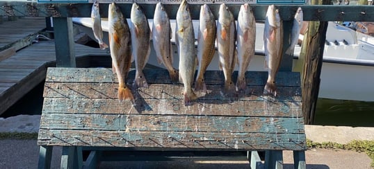 aransas pass tx fishing trips1