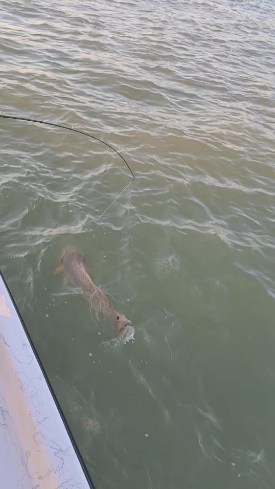 port o connor fishing trips3