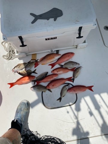 pensacola fishing trips2