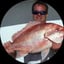 Mark Wheeler