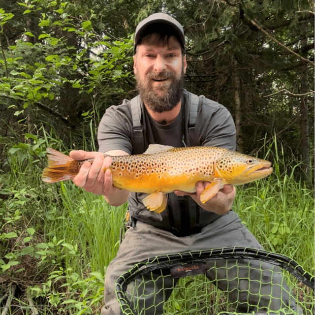Premier Nighttime Trout Fishing
