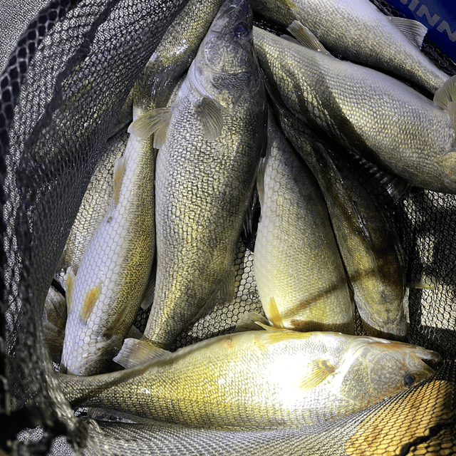 Walleye Fishing in Cleveland, Ohio