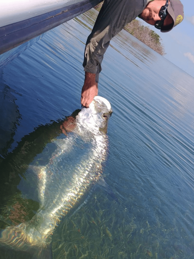 Targeting Tarpon in Key West