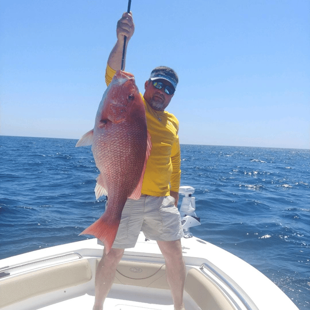 Federal Red Snapper Romp