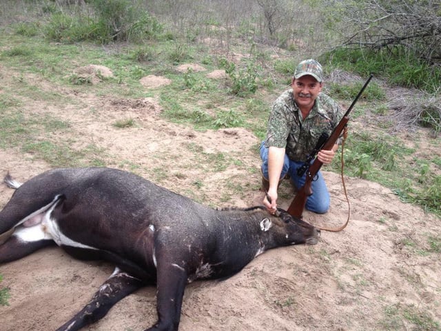 South Texas Nilgai Hunts
