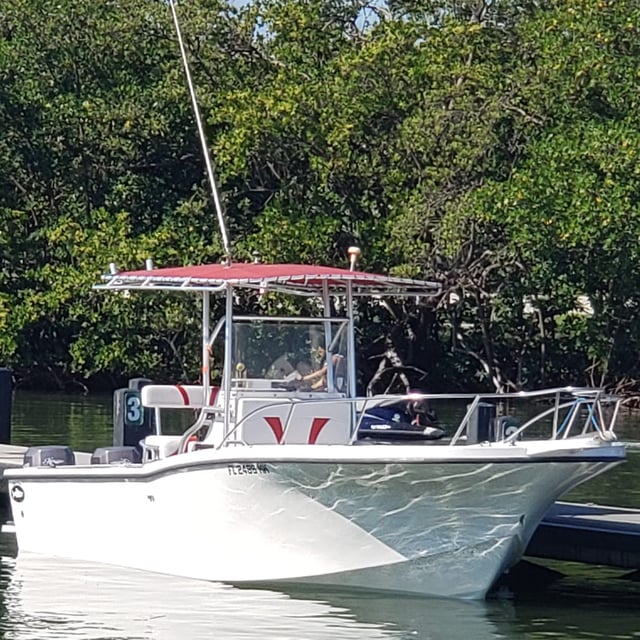 8 Hour Trip - Inshore