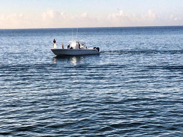 Tuna Marlin and More