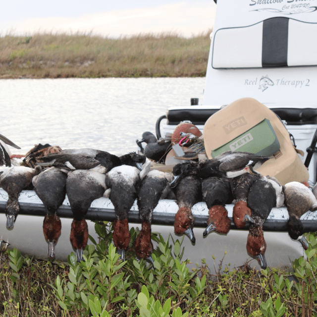 Corpus Christi Duck Hunts