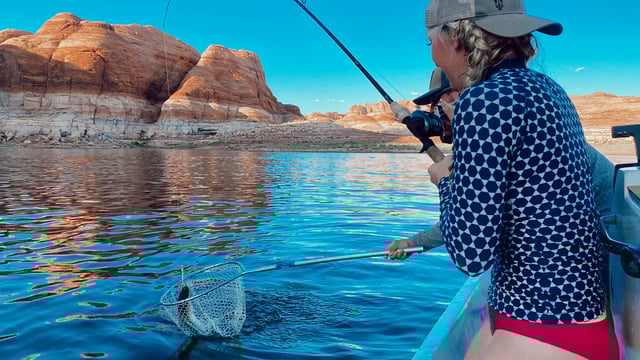 Striped Bass Fishing in Bullfrog, Utah