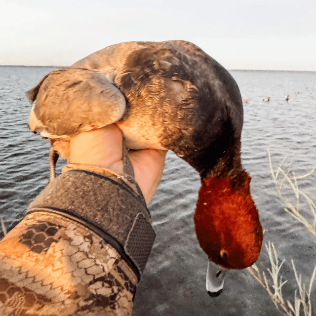 Waterfowl Hunts
