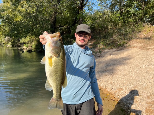 Fly fishing for Guadalupe Bass! 