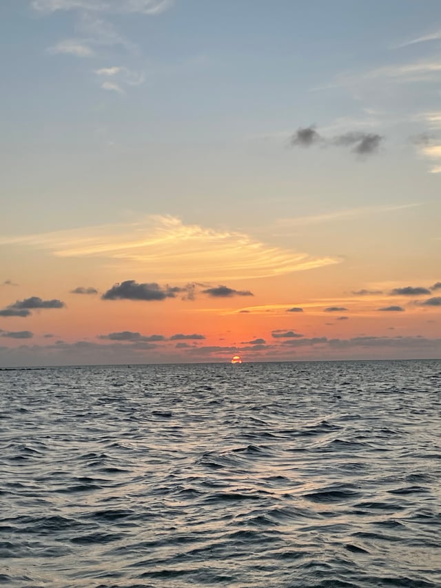 3 hr shelling/island trip 