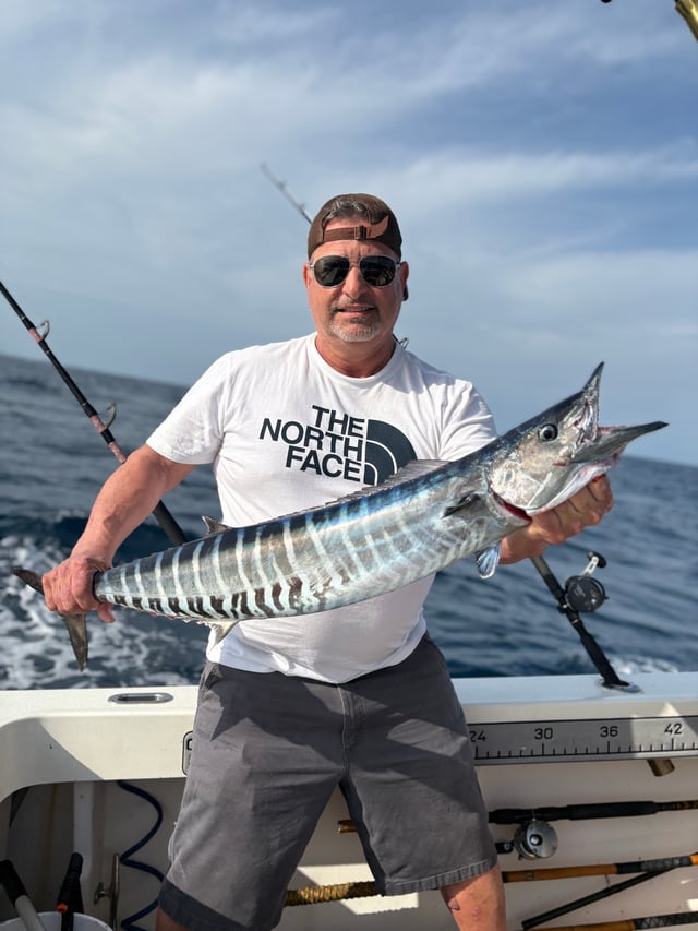 Halfday offshore