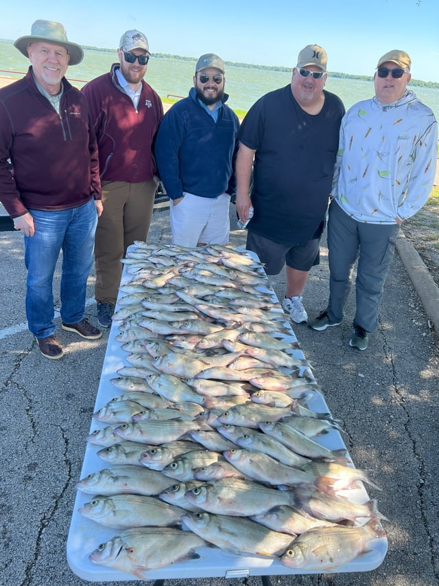 White Bass (catch and release)
