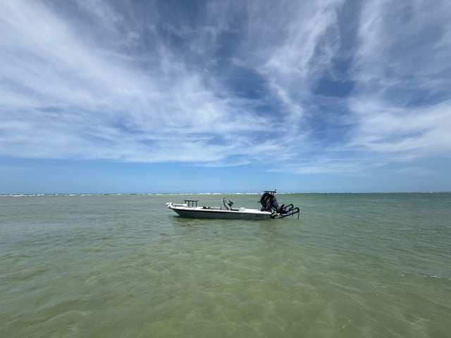 4-6 Hour Inshore Trip