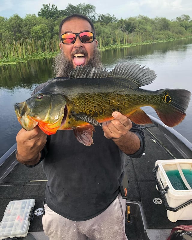 Everglades Freshwater Special