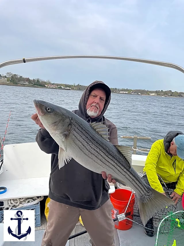 Striper Trolling Trip