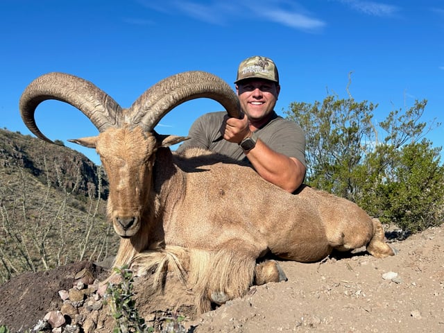 West Texas Aoudad Ram Hunt