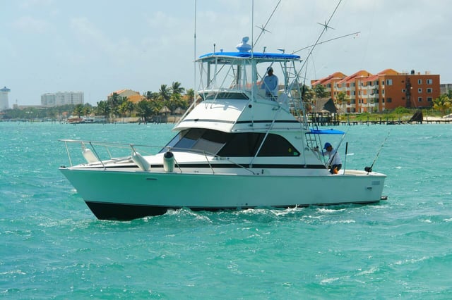 Bountiful Waters of Isla Mujeres