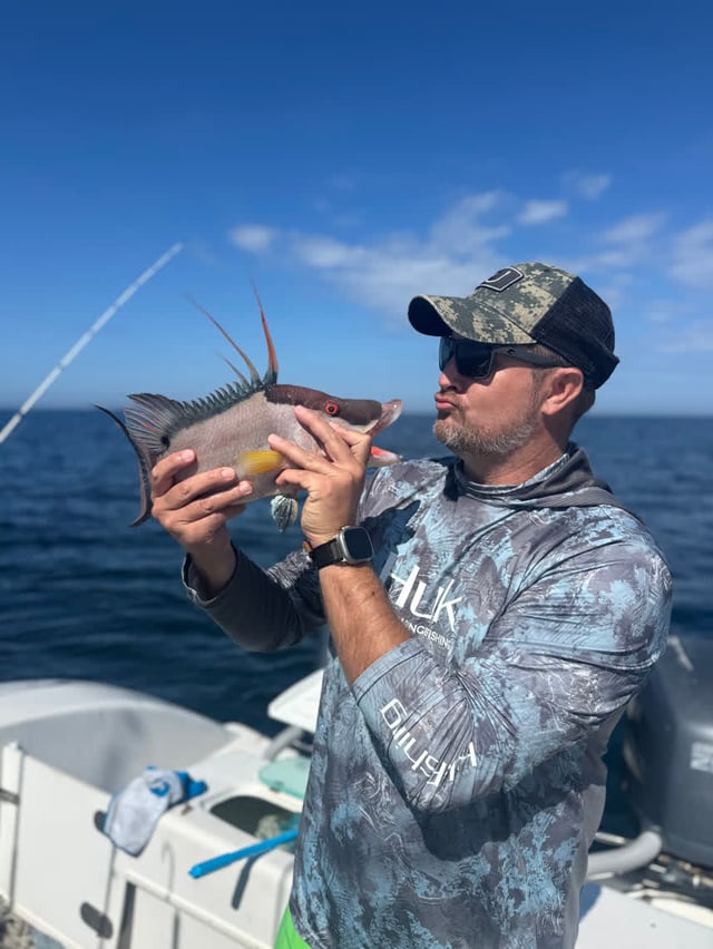 Hogfish Hoedown