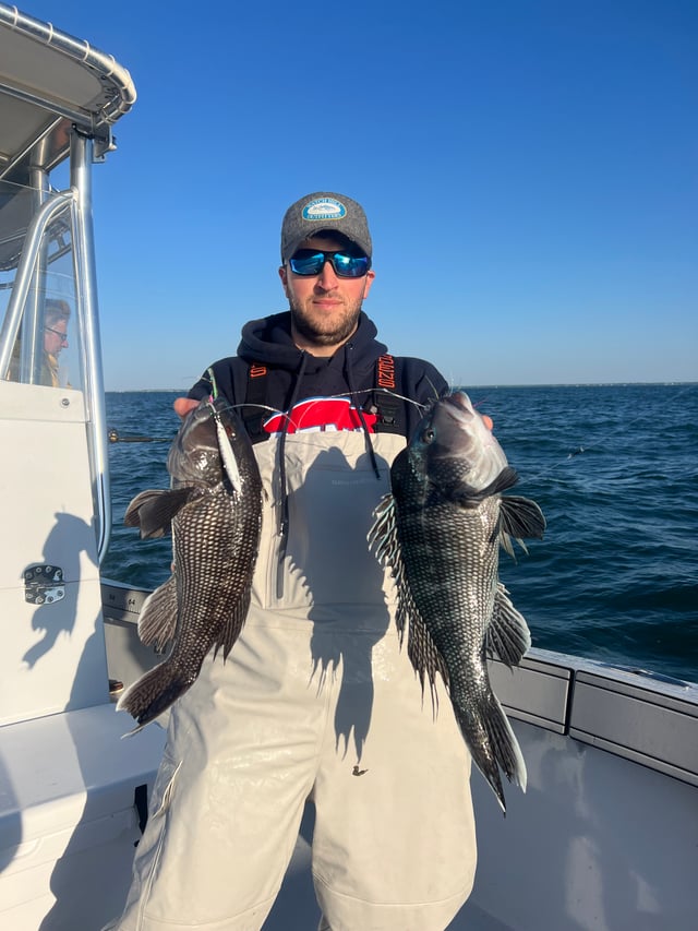 Black seabass and scup 