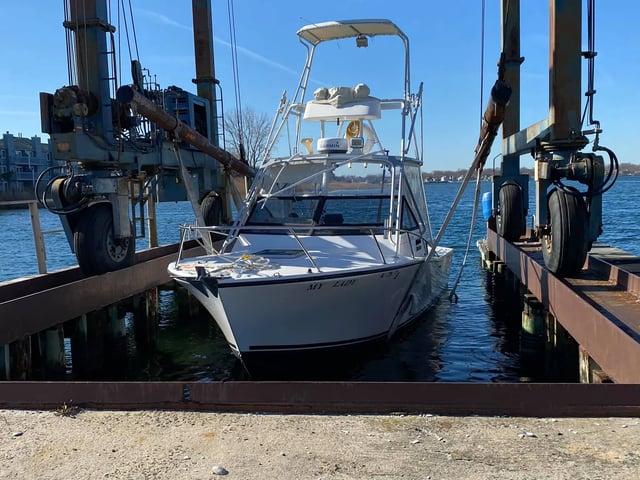 4-8 Hour Inshore Trip