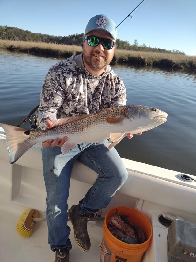 (4hr) Inshore Seatrout/Redfish