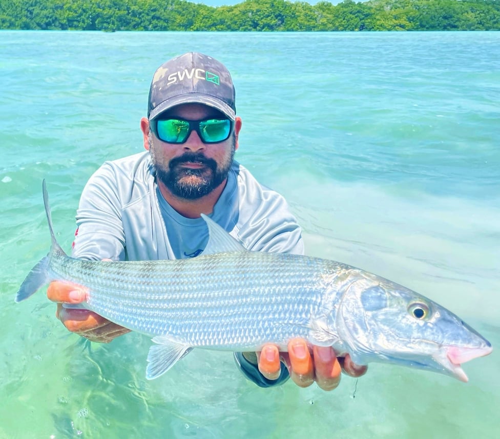 Tavernier Fishing Reports from Our Damn Good Guides.