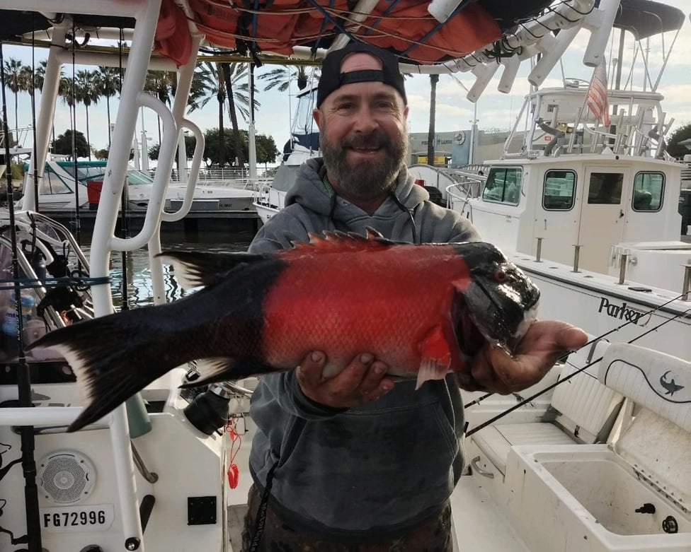 Long Beach Fishing Reports from Our Damn Good Guides.