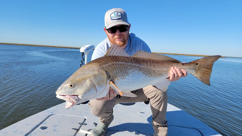 Golden Meadow Fishing Reports from Our Damn Good Guides.