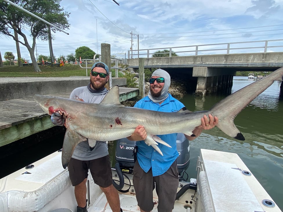 New Smyrna Beach Fishing Reports from Our Damn Good Guides.
