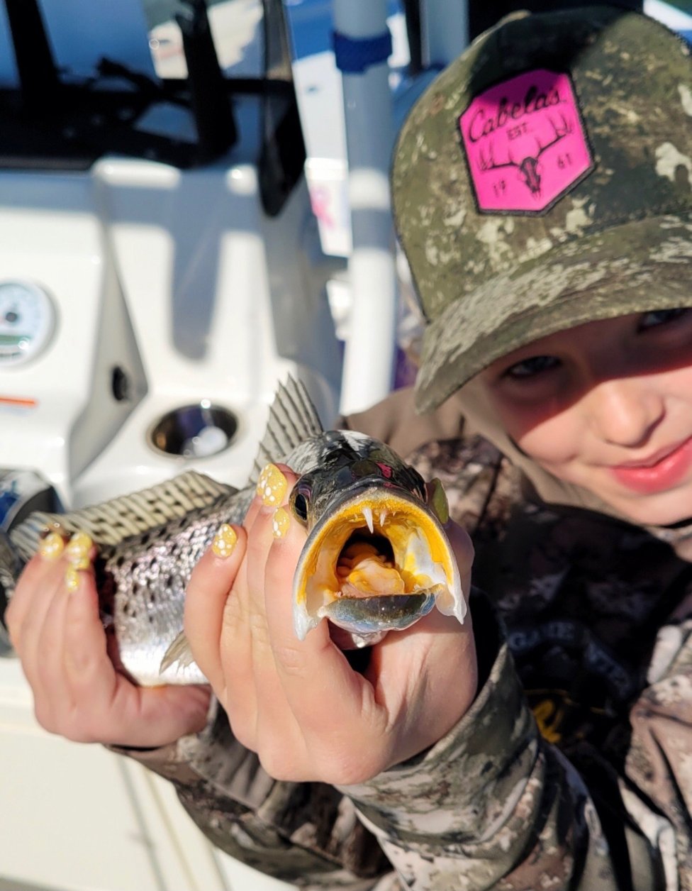 Fort Myers Fishing Reports from Our Damn Good Guides.