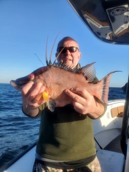 Fishing in St. Petersburg, Florida